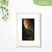Gods Dance-White Frame With Mount
